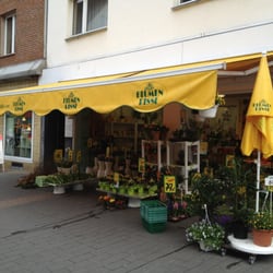 Blumen Risse