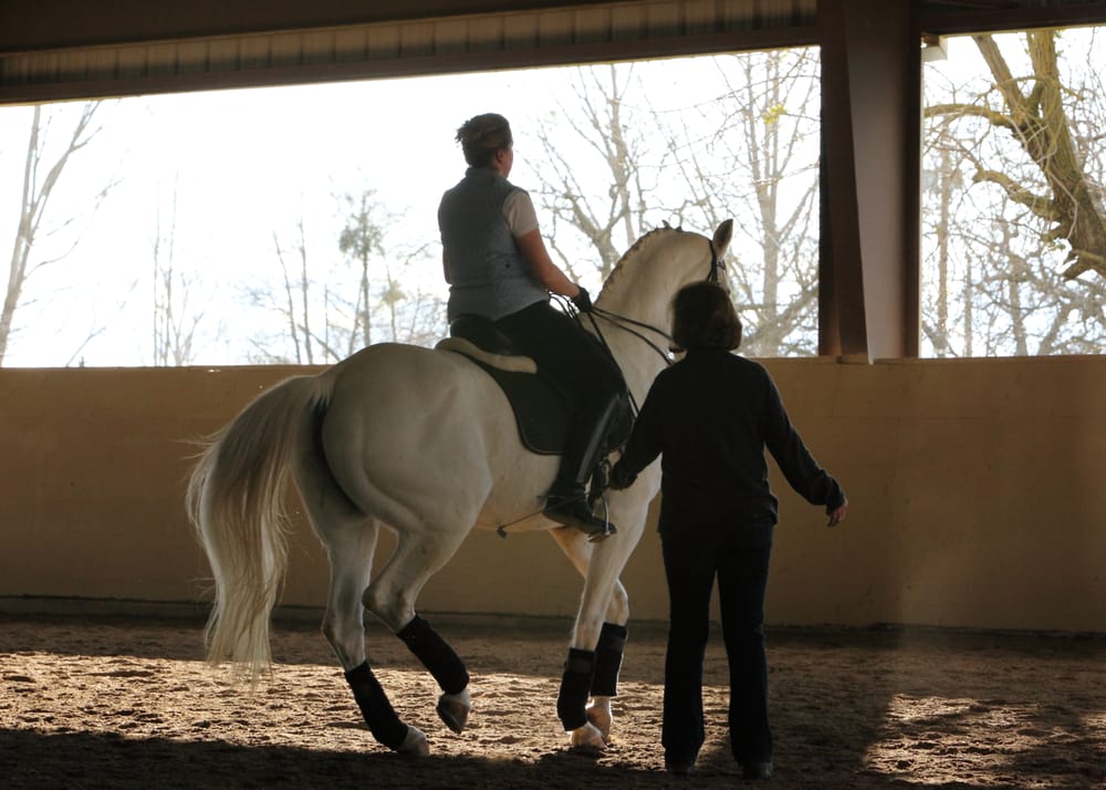 Equine Sports Complex - equestrian in Sacramento, CA