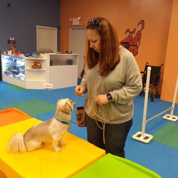 Camp Miracle Paws - Pet Training Near Me - Anderson, South Carolina