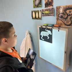 The Wilds - Animal vet area