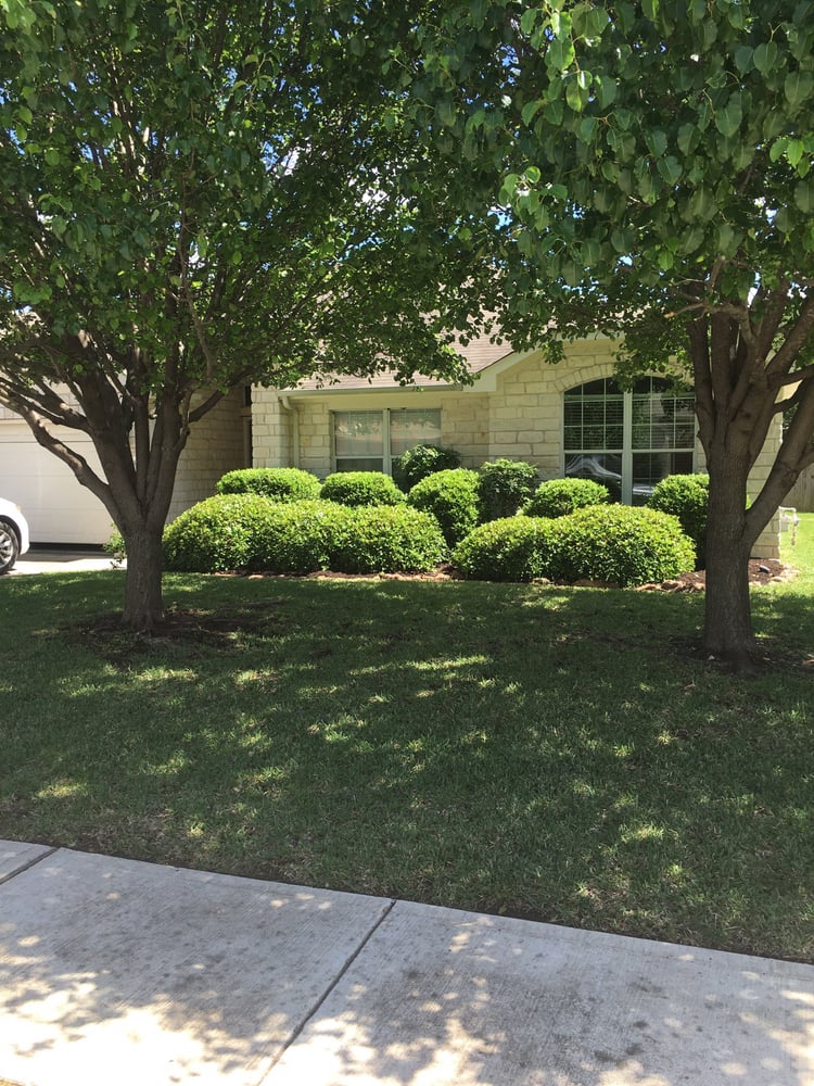 Earthly Lawn Care and Landscaping Service - tree service in Austin, TX