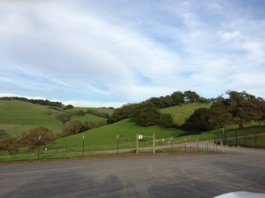 Taylor Mountain Regional Park by null