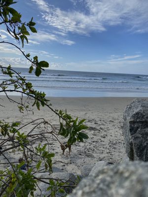 Black's Beach by null