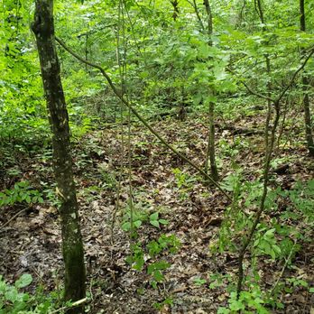 Broken Bow Vacation Cabins - Surrounded by nature. - Vacation Rentals Near Me - Broken Bow, Oklahoma