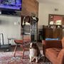 Photo of Pawfect Pet Salon
