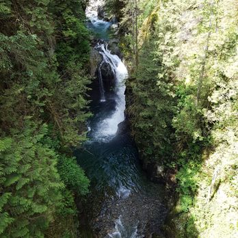 Lynn Canyon Park - View From Suspension Bridge - Parks Near Me - North Vancouver, British Columbia