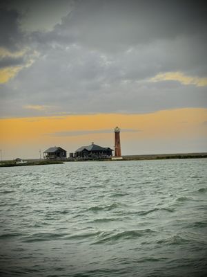 Scarlet Lady Dolphin Cruises