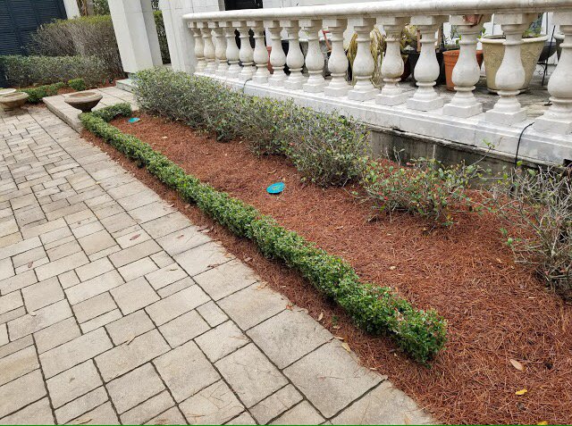 Louisianas Own Landscaping Company - tree service in New Orleans, LA