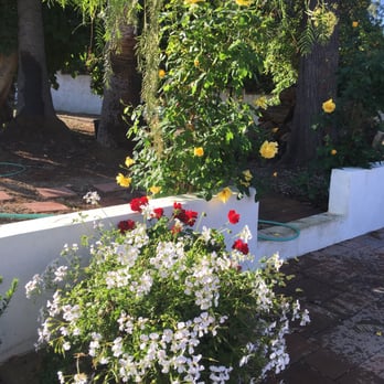 A&S Landscape Maintenance - Tree Services Near Me A&S Landscape Maintenance - Tree Services Near Me