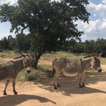 Torr Na Lochs - Wineries Near Me - Burnet, Texas Torr Na Lochs - Wineries Near Me - Burnet, Texas