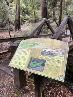 Montgomery Woods State Natural Reserve by null