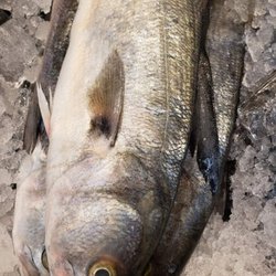 Smile Fish Market - Blue fish