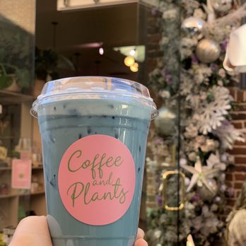 Coffee and Plants - Coffee & Tea Near Me - Pasadena, California