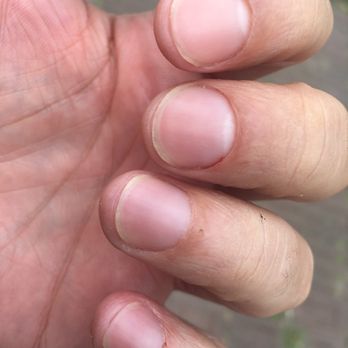 Beauty by Meghan - Nail Salons Near Me - Amsterdam, New Hampshire