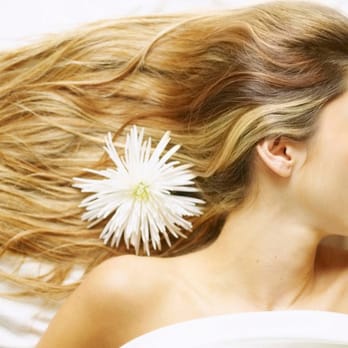 Shimi's Day Spa - Hair Salons Near Me - Plantation, Florida Shimi's Day Spa - Hair Salons Near Me - Plantation, Florida