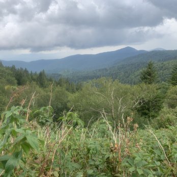 Mount Mitchell State Park - Parks Near Me - Burnsville, North Carolina
