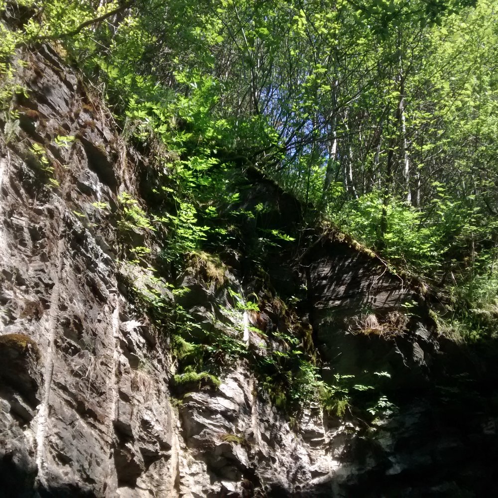 Salmon Creek - Hiking Near Me - Juneau, Alaska Salmon Creek - Hiking Near Me - Juneau, Alaska