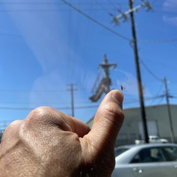 Safelite AutoGlass - Example of what I needed to repair. - Auto Glass Services Near Me - San Francisco, California Safelite AutoGlass - Example of what I needed to repair. - Auto Glass Services Near Me - San Francisco, California