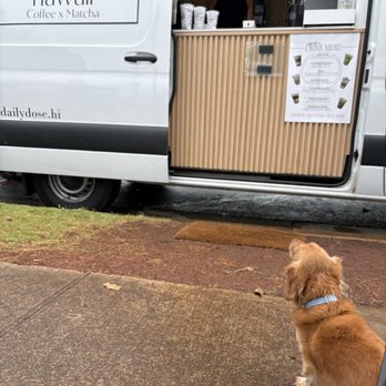 Daily Dose - Coffee & Tea Near Me - Waipahu, Hawaii