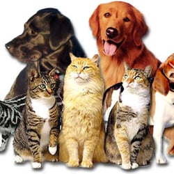 Furry PAL - We care for your Furry friends like family
