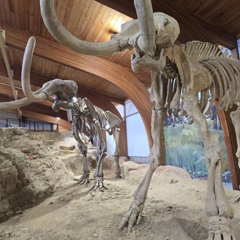 The Mammoth Site - Museums Near Me - Hot Springs, South Dakota The Mammoth Site - Museums Near Me - Hot Springs, South Dakota