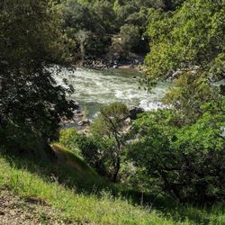 Dutch Creek Trail