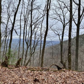 Forrest Hills Resort - The view off the road on one of our sight seeing excursions. - Venues & Event Spaces Near Me - Dahlonega, Georgia