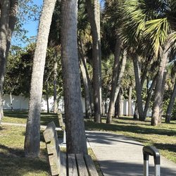 Pineapple Park - Bench