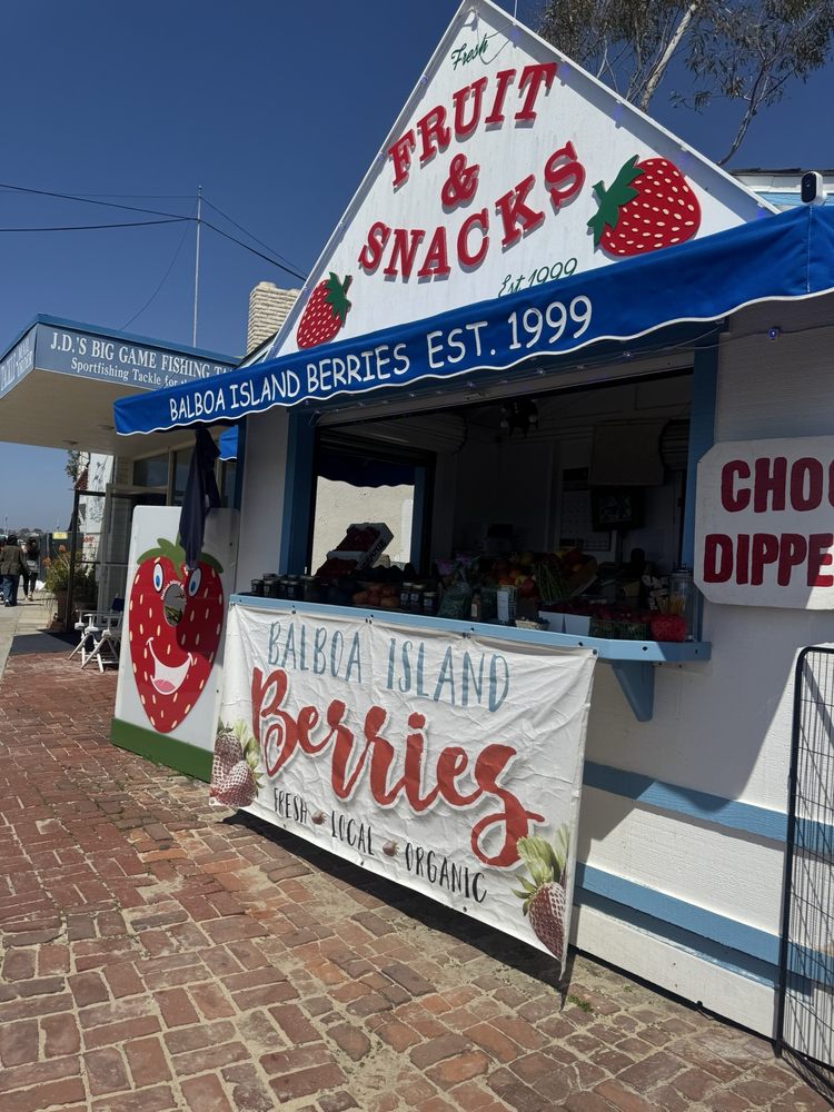 Balboa Berries & Bloom Logo