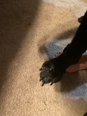 WILMINGTON ANIMAL HEALTHCARE VETERINARY HOSPITAL - Updated December ...