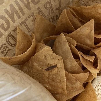 Chipotle Mexican Grill - Roach in chip bag. Enough said never returning and don't recommend you do either. - Mexican Near Me - Pearland, Texas Chipotle Mexican Grill - Roach in chip bag. Enough said never returning and don't recommend you do either. - Mexican Near Me - Pearland, Texas