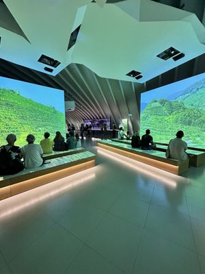 Cité du Vin by null