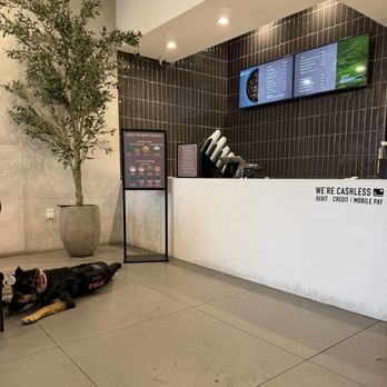 Airoma Cafe - Indoor - Bubble Tea Near Me - Las Vegas, Nevada
