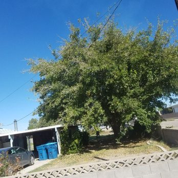 Mojave Landscaping - Tree trimming at an affordable rate - Landscape Architects or Designers Near Me - Overton, Nevada