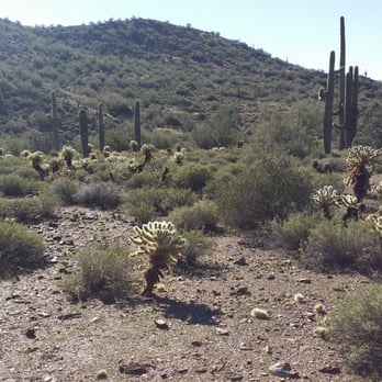 Cave Creek Regional Park - Parks Near Me - Cave Creek, Arizona Cave Creek Regional Park - Parks Near Me - Cave Creek, Arizona