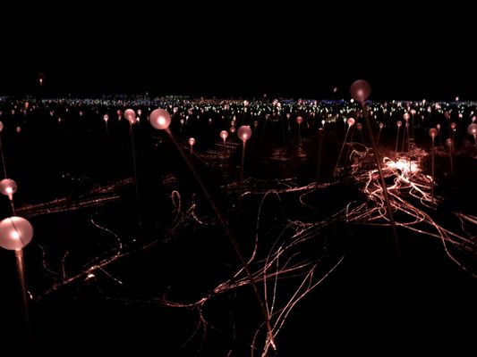 Field of Light by null