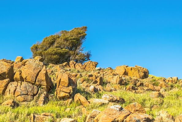 Ring Mountain Preserve by null