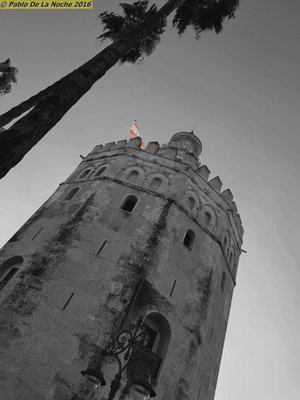 Torre del Oro by null