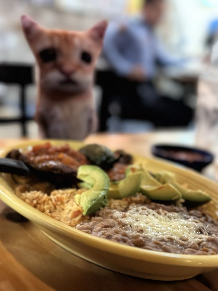 Totopos Mexican Restaurant