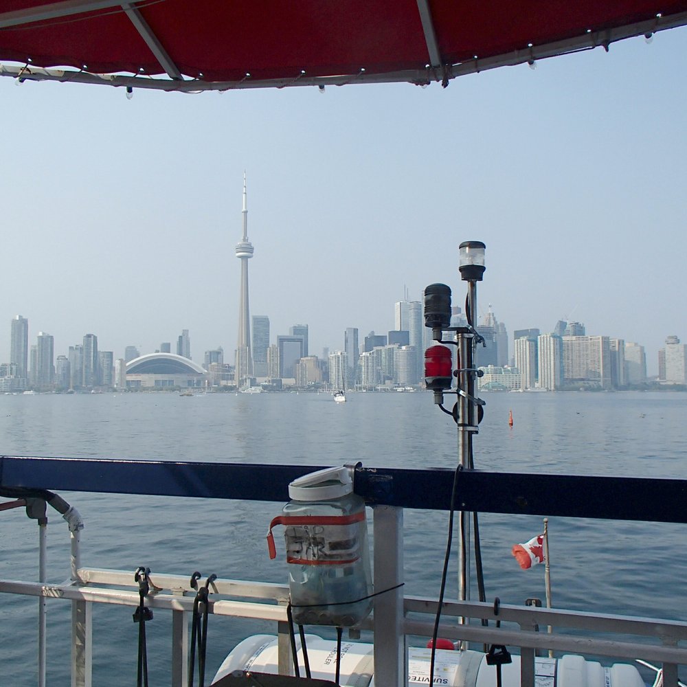 City Sightseeing Toronto - Tours Near Me - Toronto, Ontario