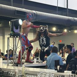 Mexican lucha libre!