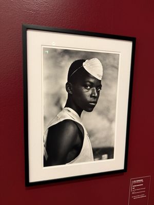 Museu Afro Brasil by null