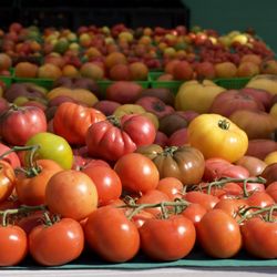 Palm Desert Certified Farmers Market - Tomatoes - Nest Farms