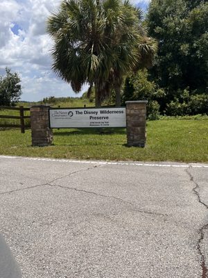 The Nature Conservancy's Disney Wilderness Preserve by null