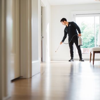 Solveary - Pest Control Near Me - Fort Myers, Florida Solveary - Pest Control Near Me - Fort Myers, Florida