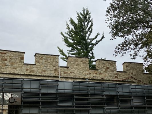 Petřín Gardens by null