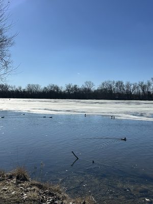Riverside Park by null