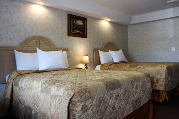 Country view Inn & Suites by null