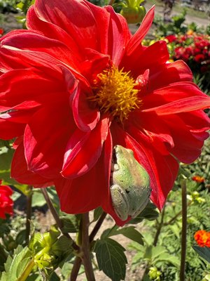 Well Rooted Farms by null