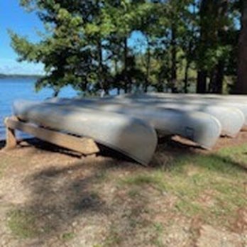 Mistletoe State Park - Parks Near Me - Appling, Georgia
